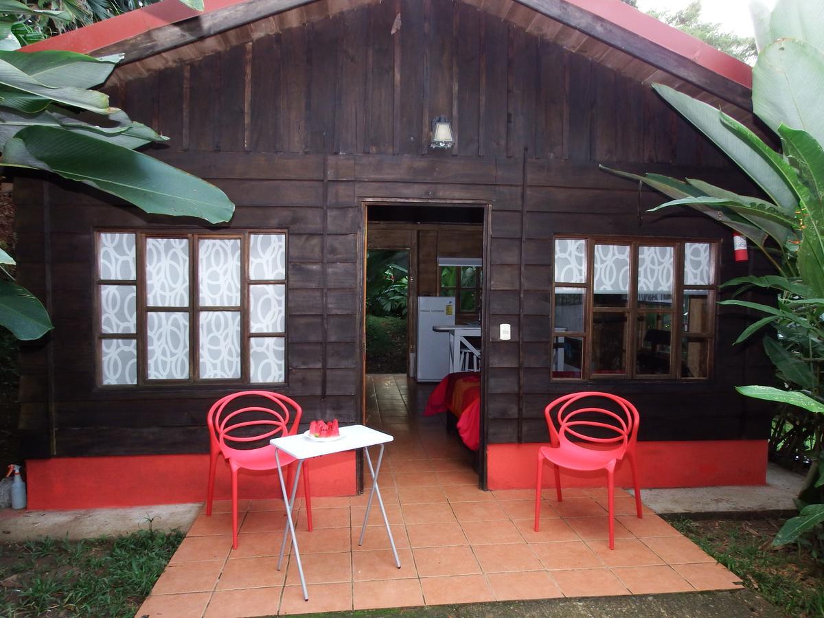 Selva Color - Forest & Beach Ecolodge Quebrada Ganado Exterior photo