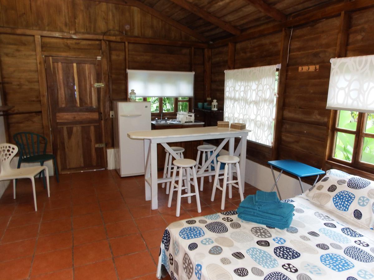Selva Color - Forest & Beach Ecolodge Quebrada Ganado Exterior photo