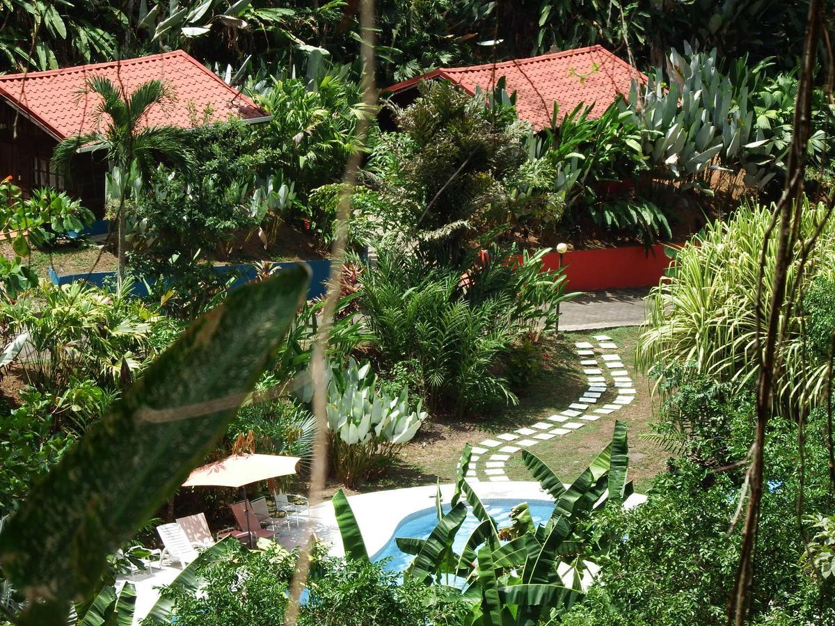 Selva Color - Forest & Beach Ecolodge Quebrada Ganado Exterior photo