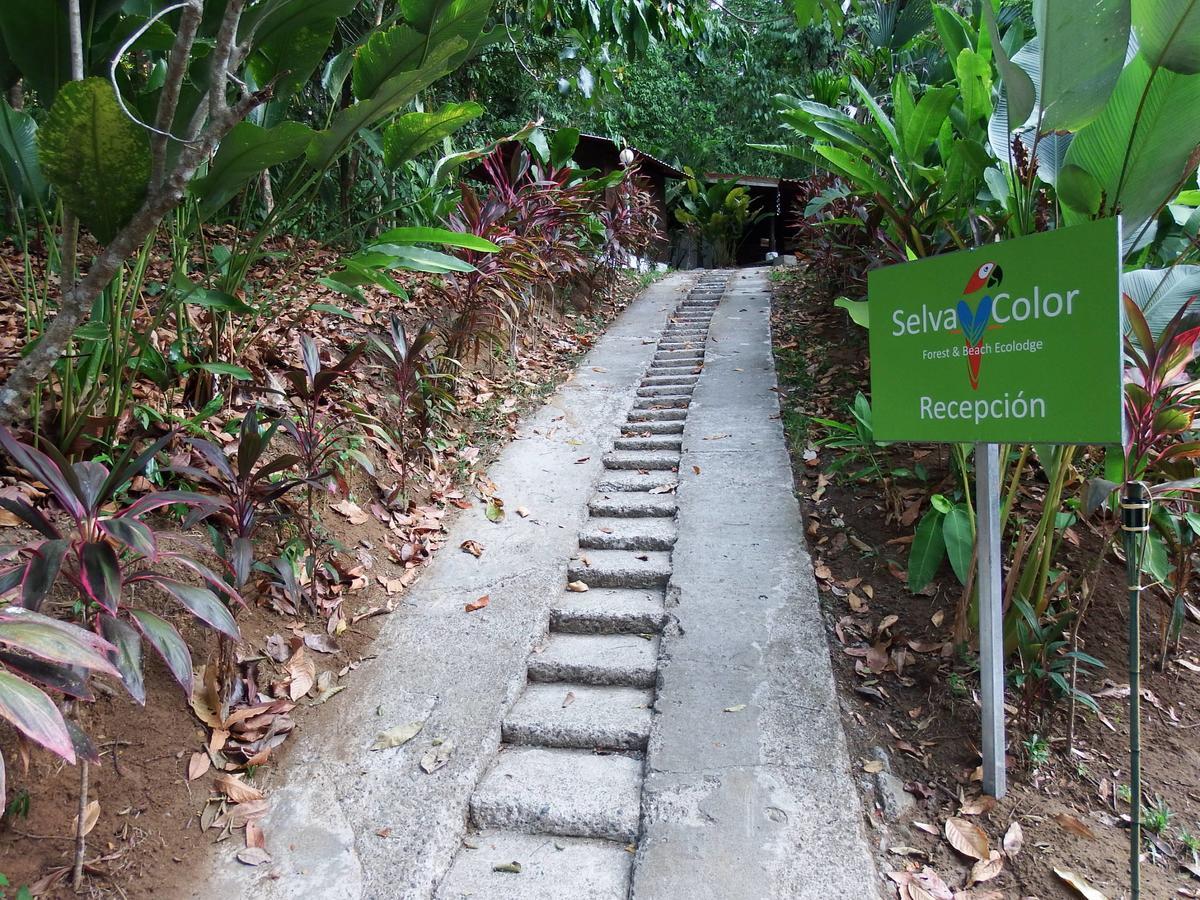 Selva Color - Forest & Beach Ecolodge Quebrada Ganado Exterior photo