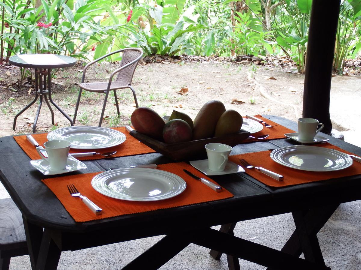 Selva Color - Forest & Beach Ecolodge Quebrada Ganado Exterior photo