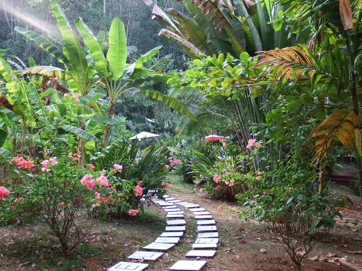 Selva Color - Forest & Beach Ecolodge Quebrada Ganado Exterior photo