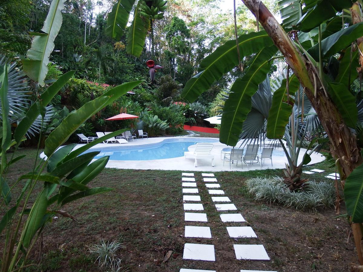Selva Color - Forest & Beach Ecolodge Quebrada Ganado Exterior photo