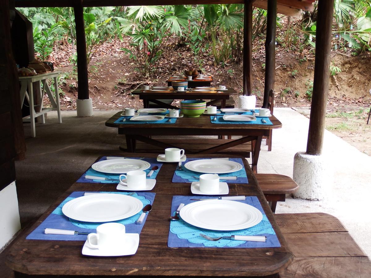 Selva Color - Forest & Beach Ecolodge Quebrada Ganado Exterior photo
